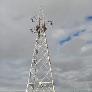 Imagem do WhatsApp de 2025 05 29 as 17.42.59 b5f4c756